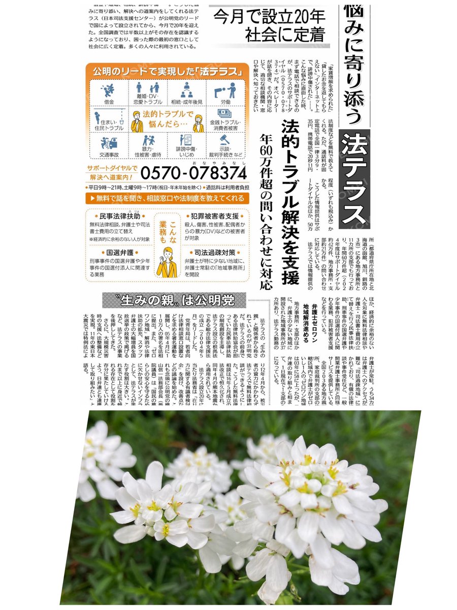 岩瀬まり【松戸市議会議員】🌹 tweet media