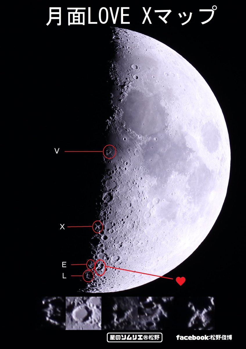 🌏星のソムリエ®︎松野 tweet media