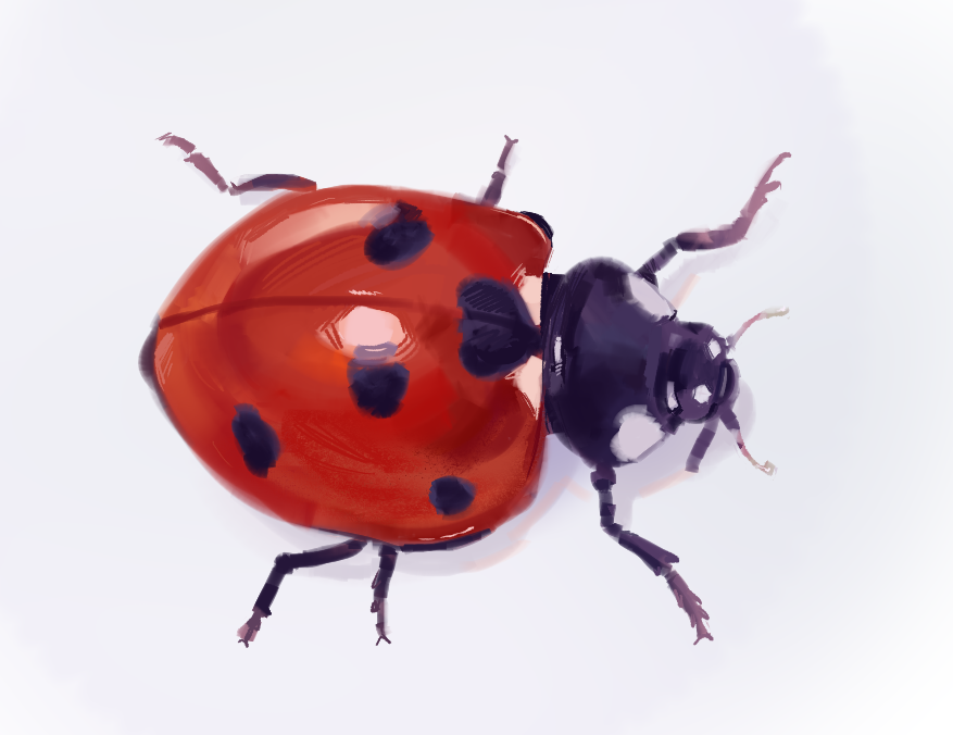 woolpain's tweet photo. yay bug https://t.co/tGht4lslvE