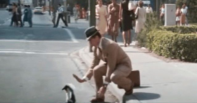 SupermanHomepge's tweet image. #DidYouKnow April 25 is #WorldPenguinDay.