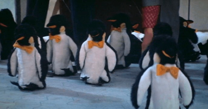 SupermanHomepge's tweet image. #DidYouKnow April 25 is #WorldPenguinDay.