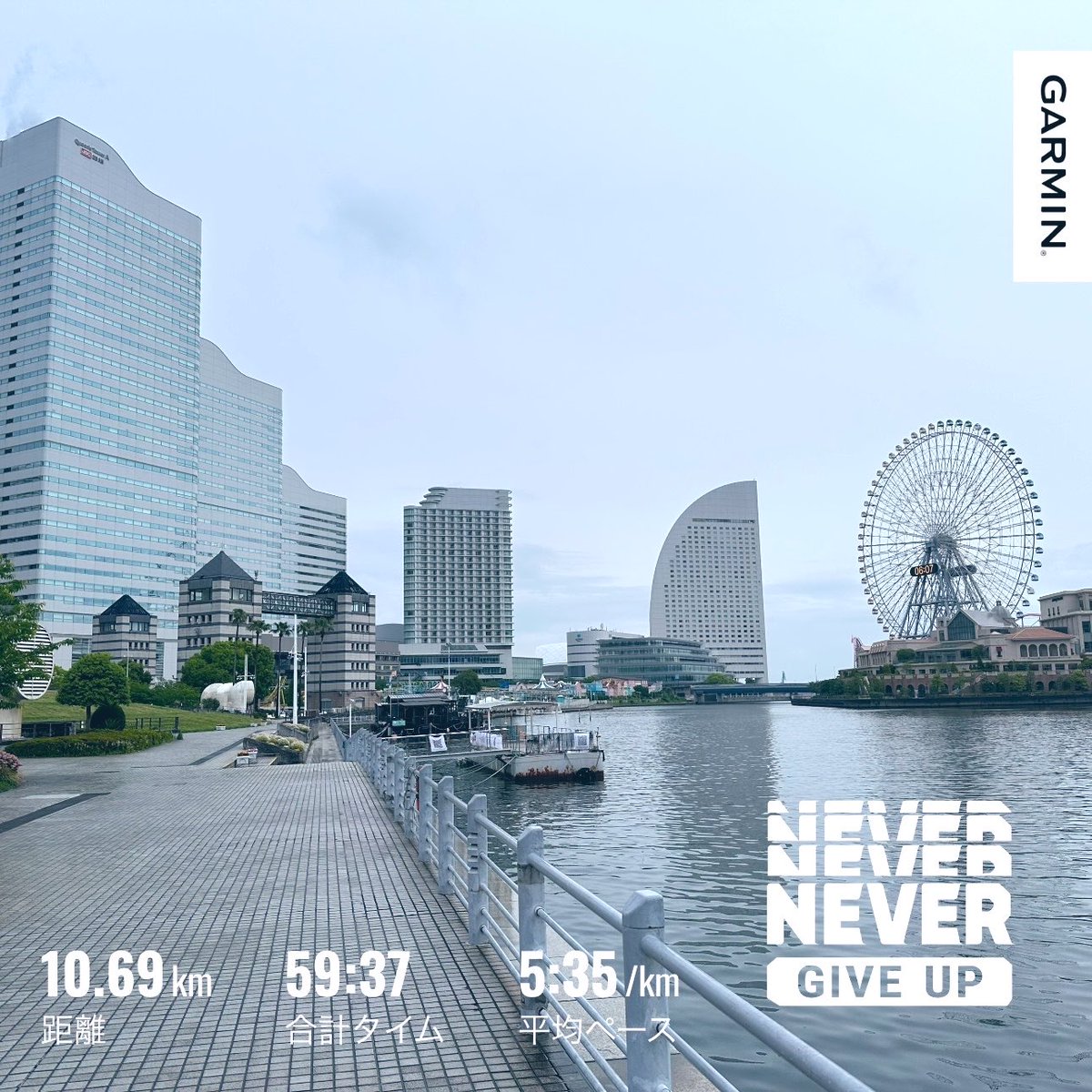 ADA⚛️HTW/STEPN👟🛸🍸 tweet media