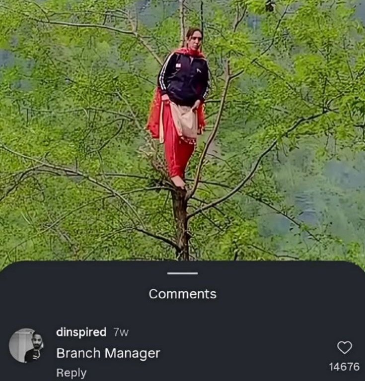 Riocasm's tweet photo. The reason i pay my internet bills https://t.co/M3g14H3tsy