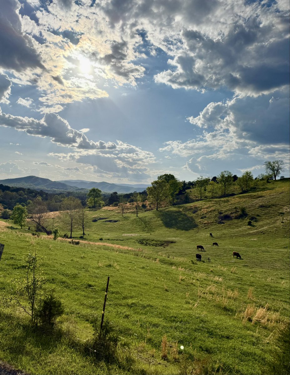 The Appalachian Podcast tweet media