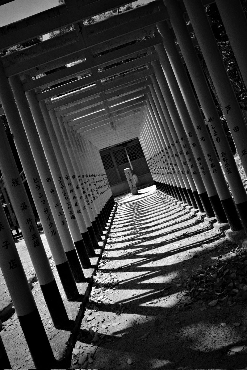 wao_camera's tweet image. 昨日の雨は上がったが少しヒンヤリする朝です　

GRⅣ monochrome
#GR4monochrome #SnapShot 
#monochrome 
#streetsnap