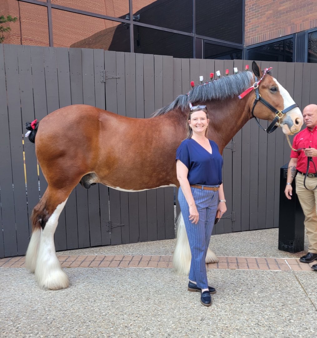 AEGISgeneral's tweet photo. Twila Hall had an excellent time at the VIAA 20th Anniversary Product Fair in St. Louis, Missouri today. This year, the tradeshow took place at Anheuser-Busch, and on top of getting to connect with great agents, an Anheuser-Busch Clydesdale was also in attendance! https://t.co/3bqArO0SsA