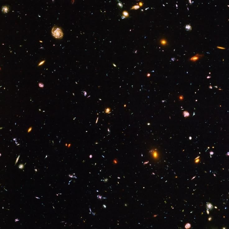 The Scientific Lens tweet media