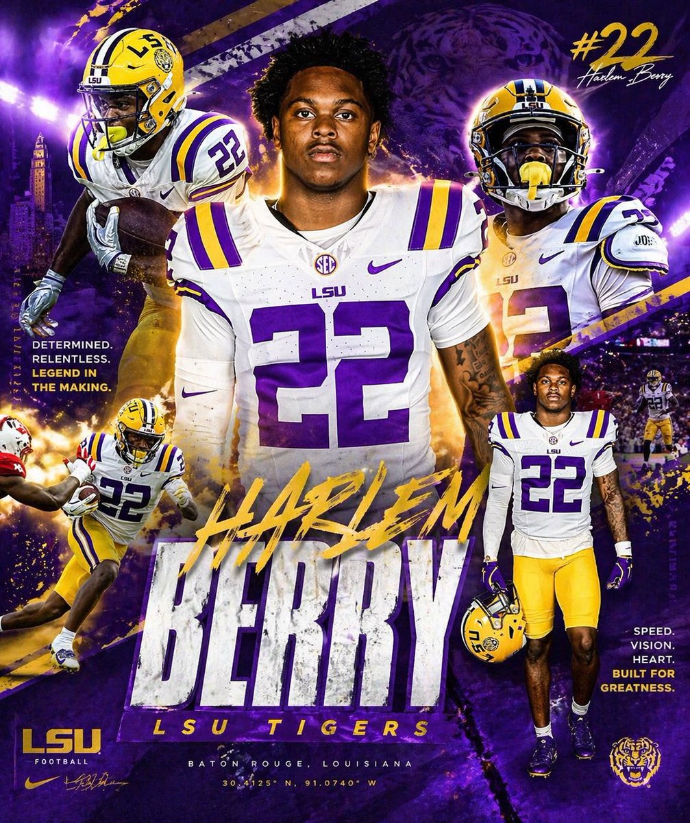 TigerFan tweet media