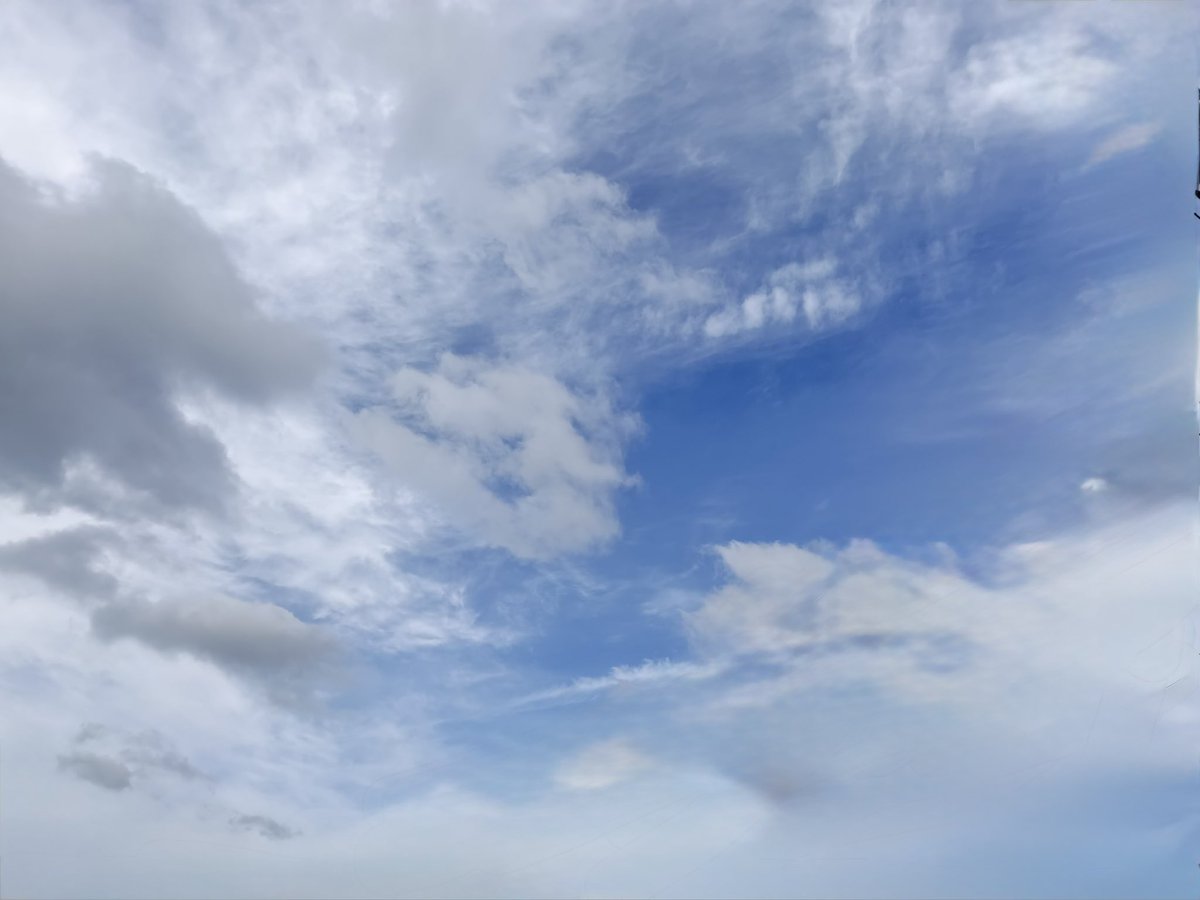 【公式】ORORU(オロル)株式会社 広報 tweet media