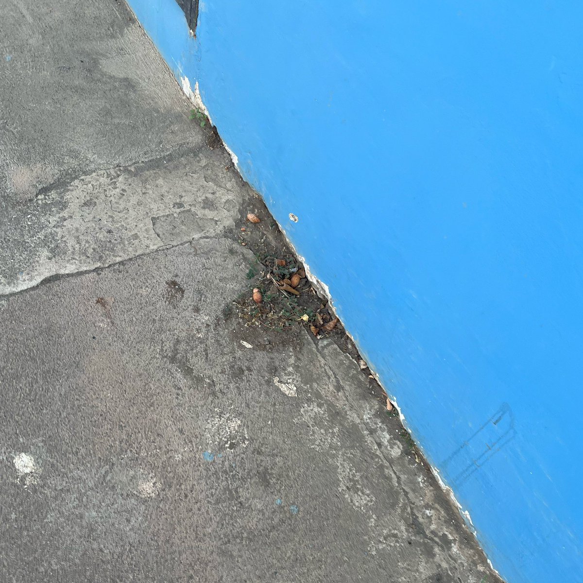 jay (@gallopintotrash) on Twitter photo 