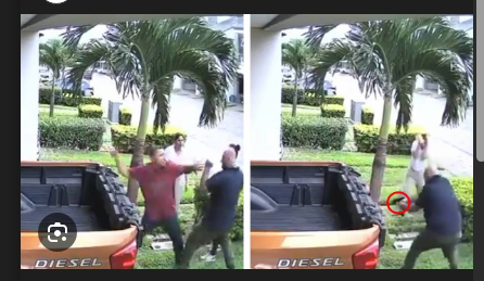 Ambientalista Escéptico 🎑​🎇​🌦️​🌪️​☔​📡​🔬​🧬​ tweet media