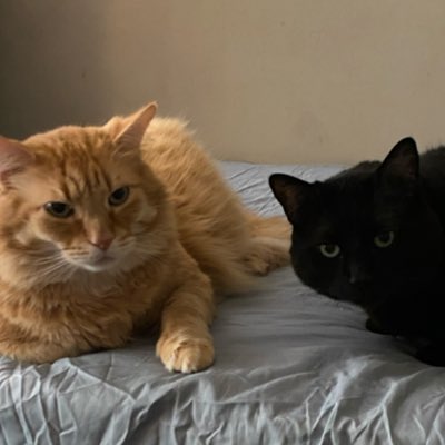 RoseanneMerril3's tweet photo. #NewProfilePic https://t.co/c1My0wVqss