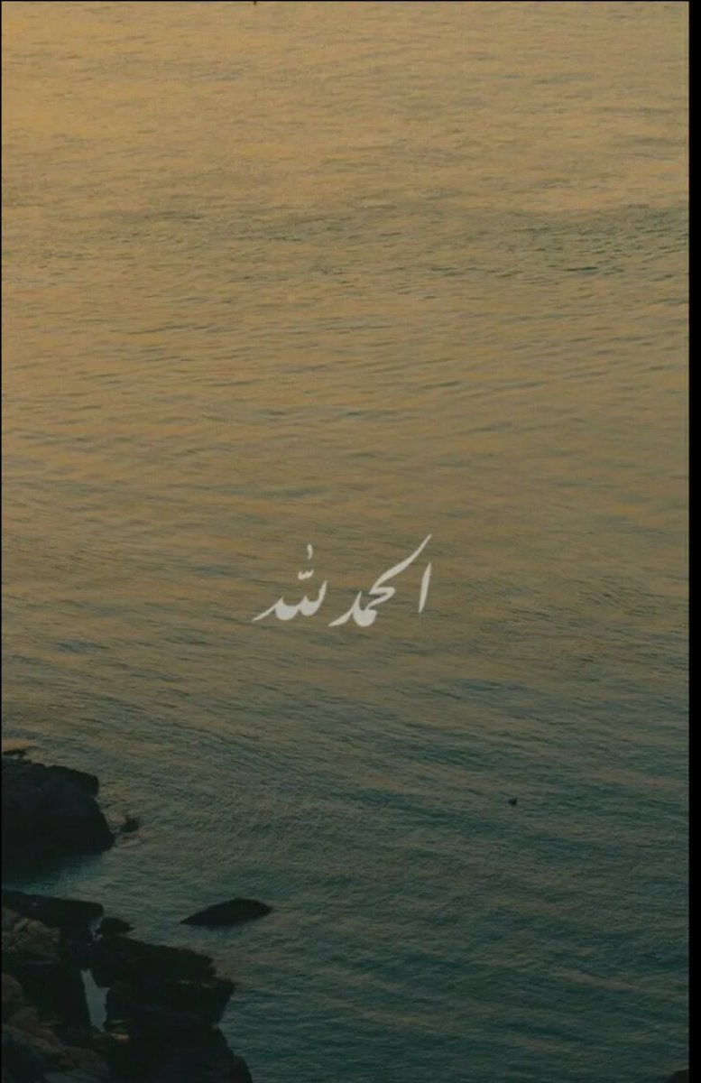 ميس الريم tweet media