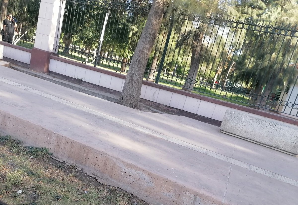 valeria torres tweet media