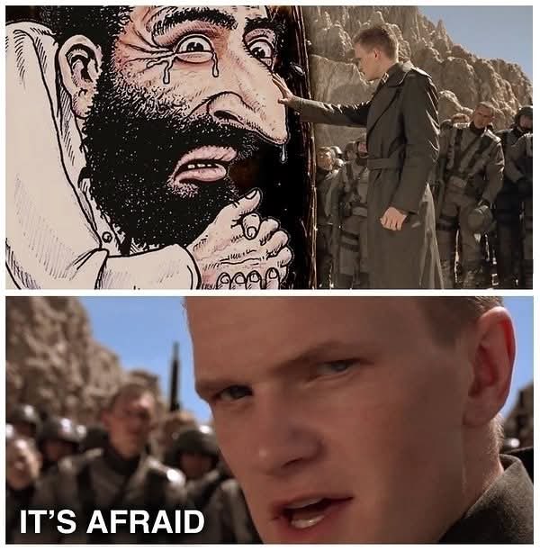 diglettdig tweet media