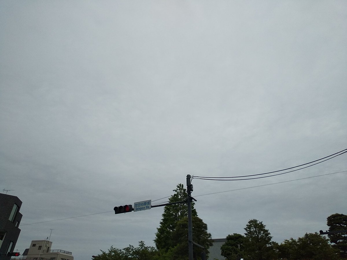 ysb_'s tweet image. 金曜日～

雨上がりの曇り空～

風さんそよ～

ちょい涼しめ～

本日も楽しくなりそうれす～

20260424～

 #世田谷 #世田谷区 #setagaya