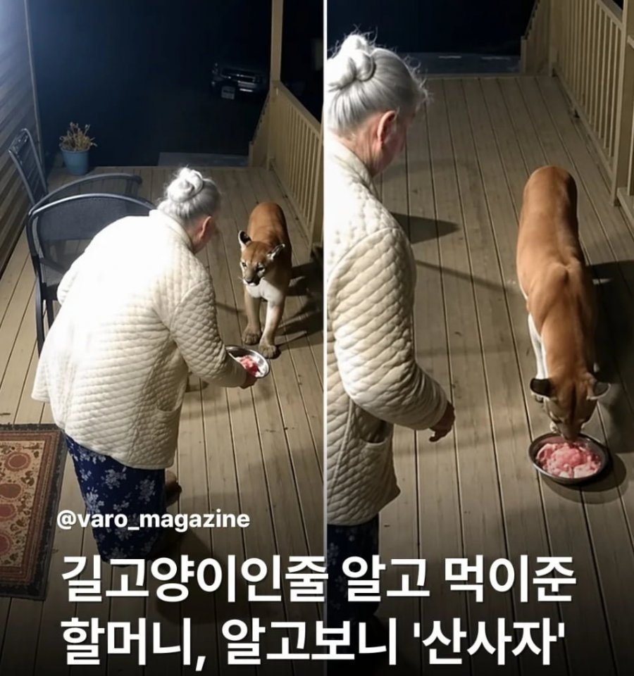 이씨네 tweet media