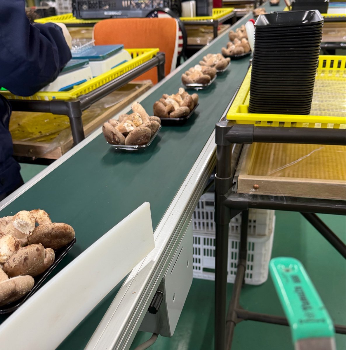 中矢邦子/アナウンサー・社会福祉士・防災士 tweet media