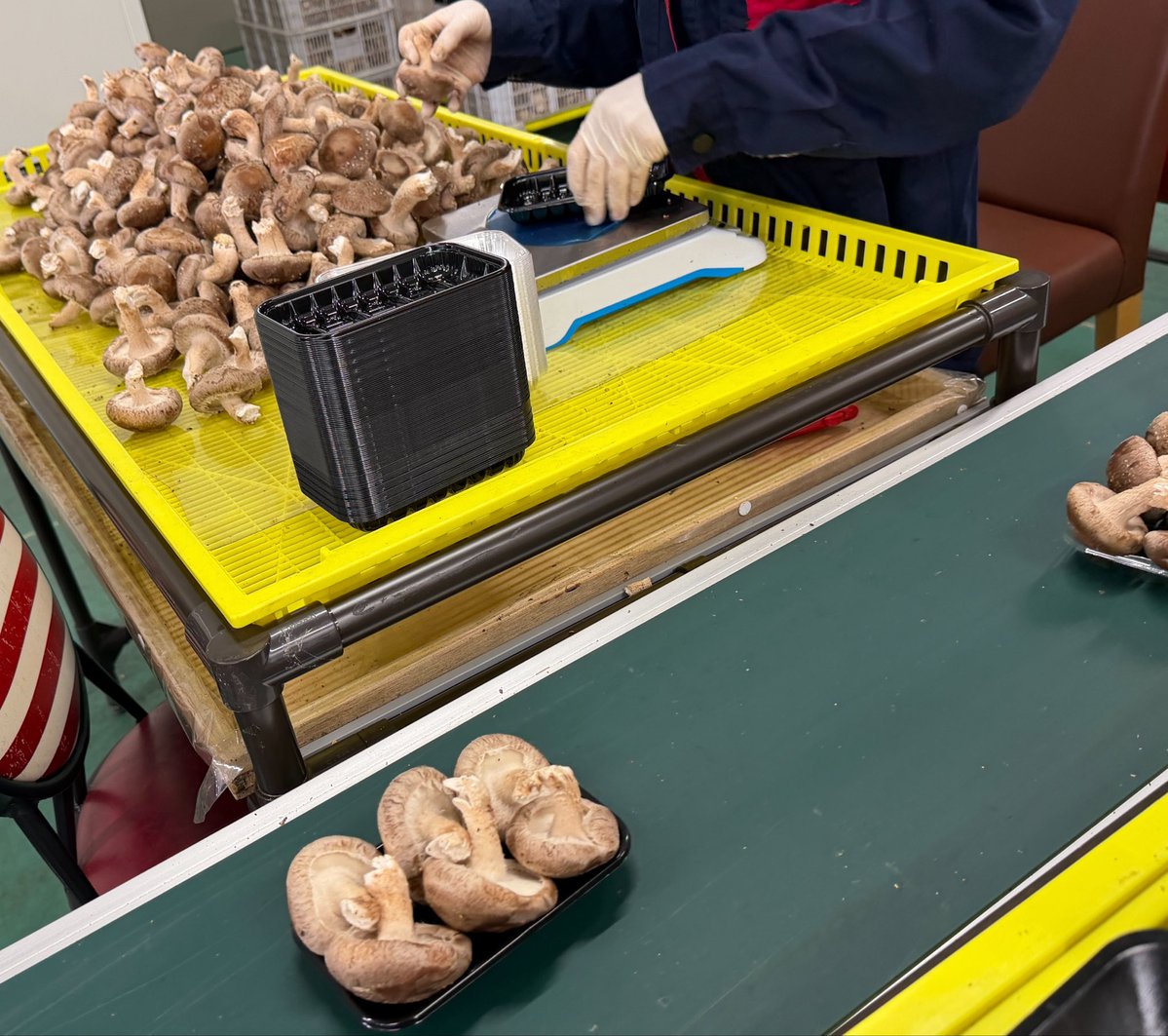 中矢邦子/アナウンサー・社会福祉士・防災士 tweet media