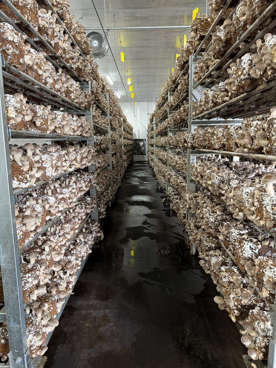 中矢邦子/アナウンサー・社会福祉士・防災士 tweet media