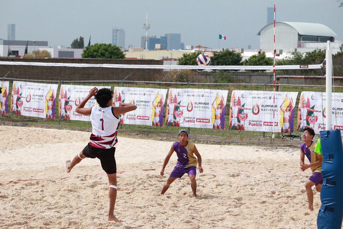 ObservadorMX tweet media