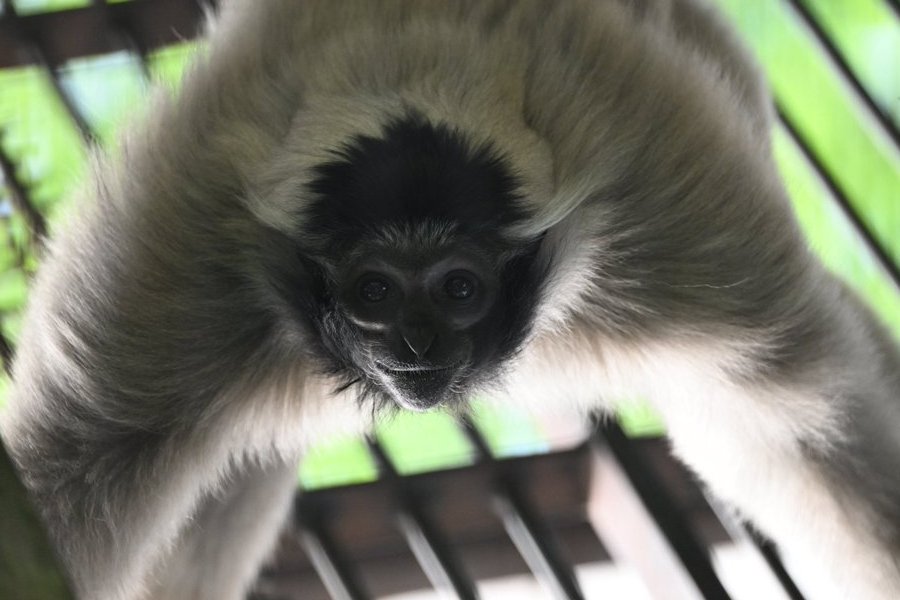 ★ももたろーお＾＾ｖ★ tweet media