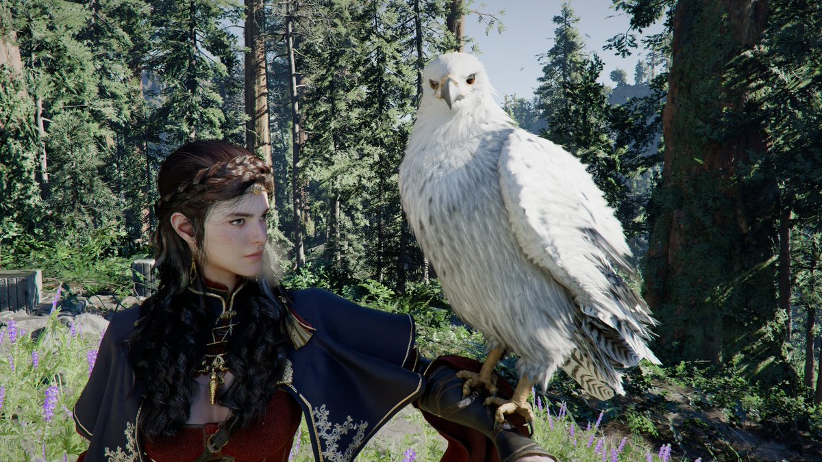 シロハヤブサをペットにできた！
かわいいｗ
ほんま神アップデートだわ
#紅の砂漠　#CrimsonDesert