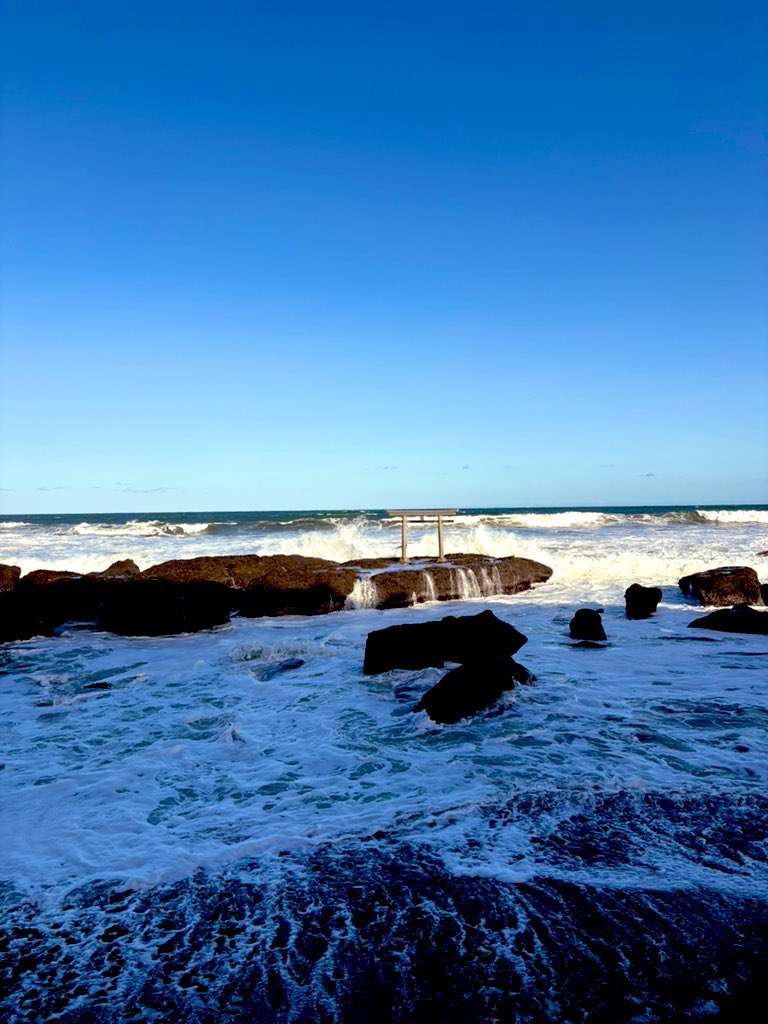 桃乃いず tweet media