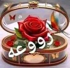 💛🌼عشق الروح🌼💛 tweet media