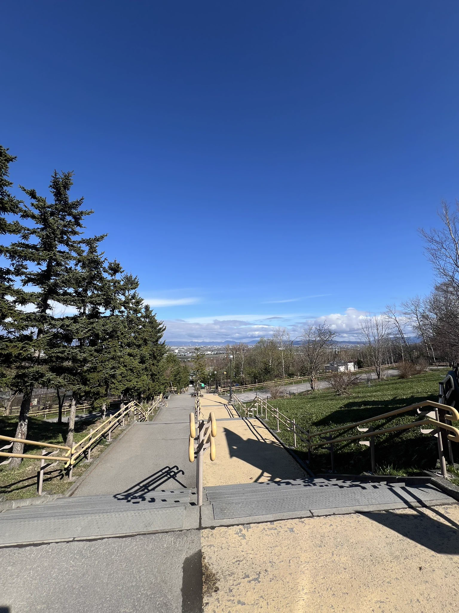 旭川市旭山動物園［公式］ on X: 