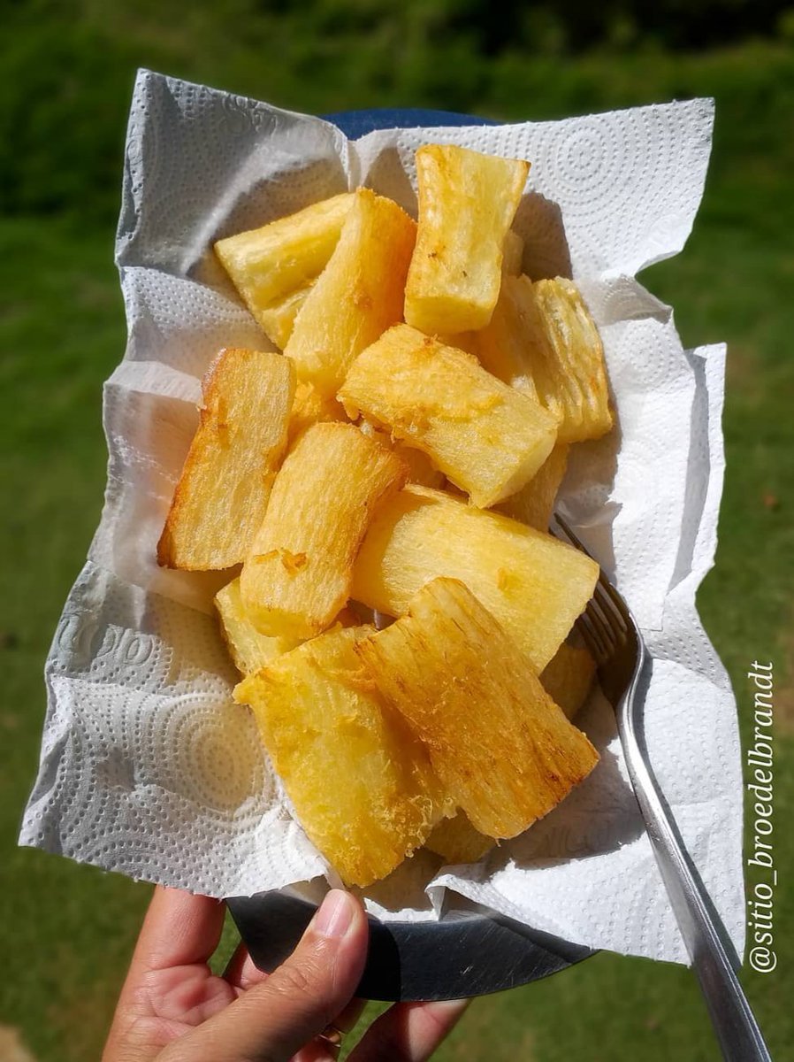 Renan Callegari tweet media