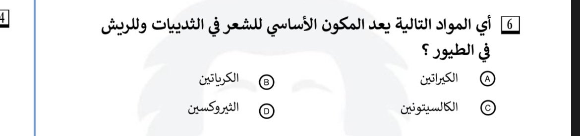 جَ tweet media