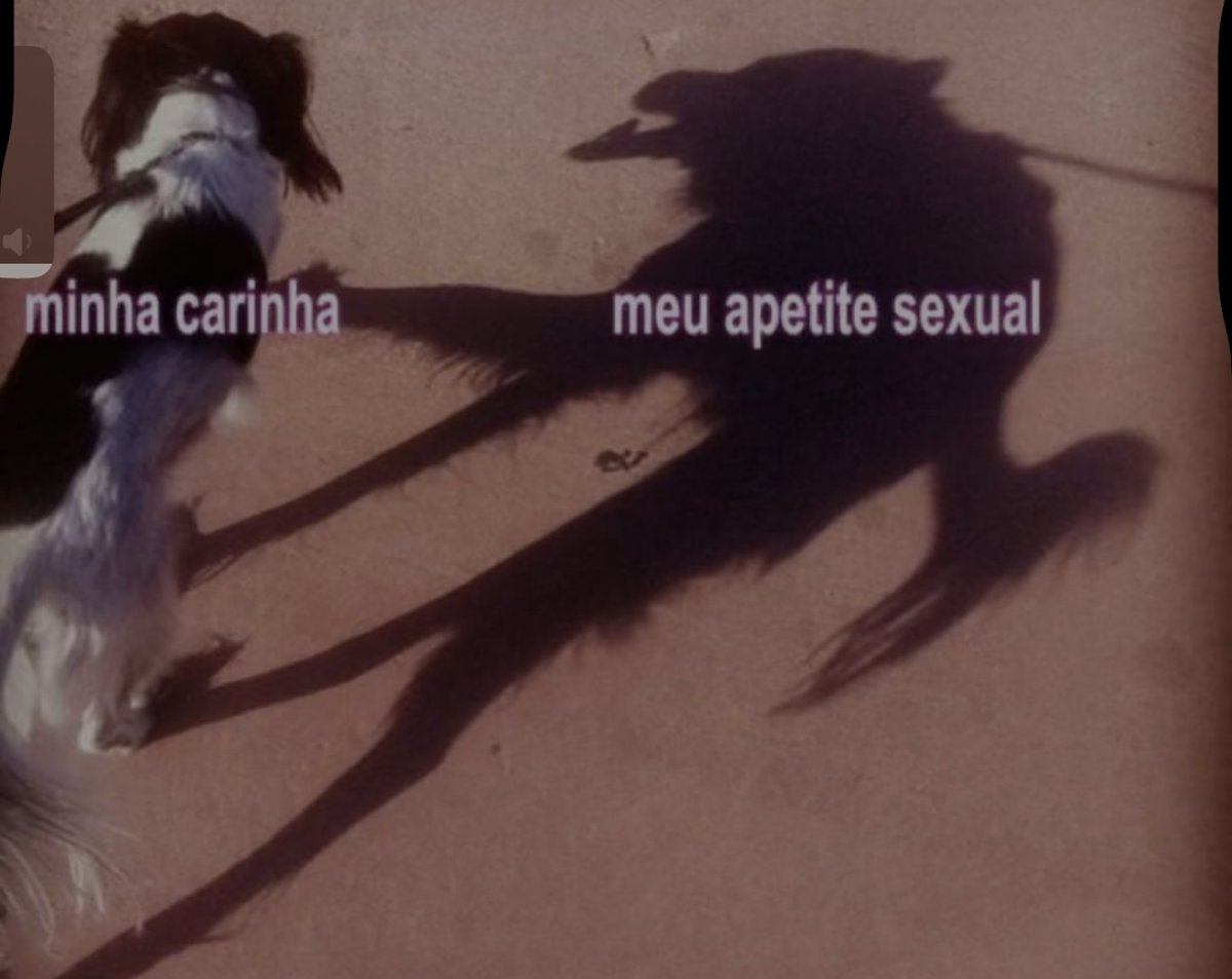 Renan Callegari (@umansios0) on Twitter photo 