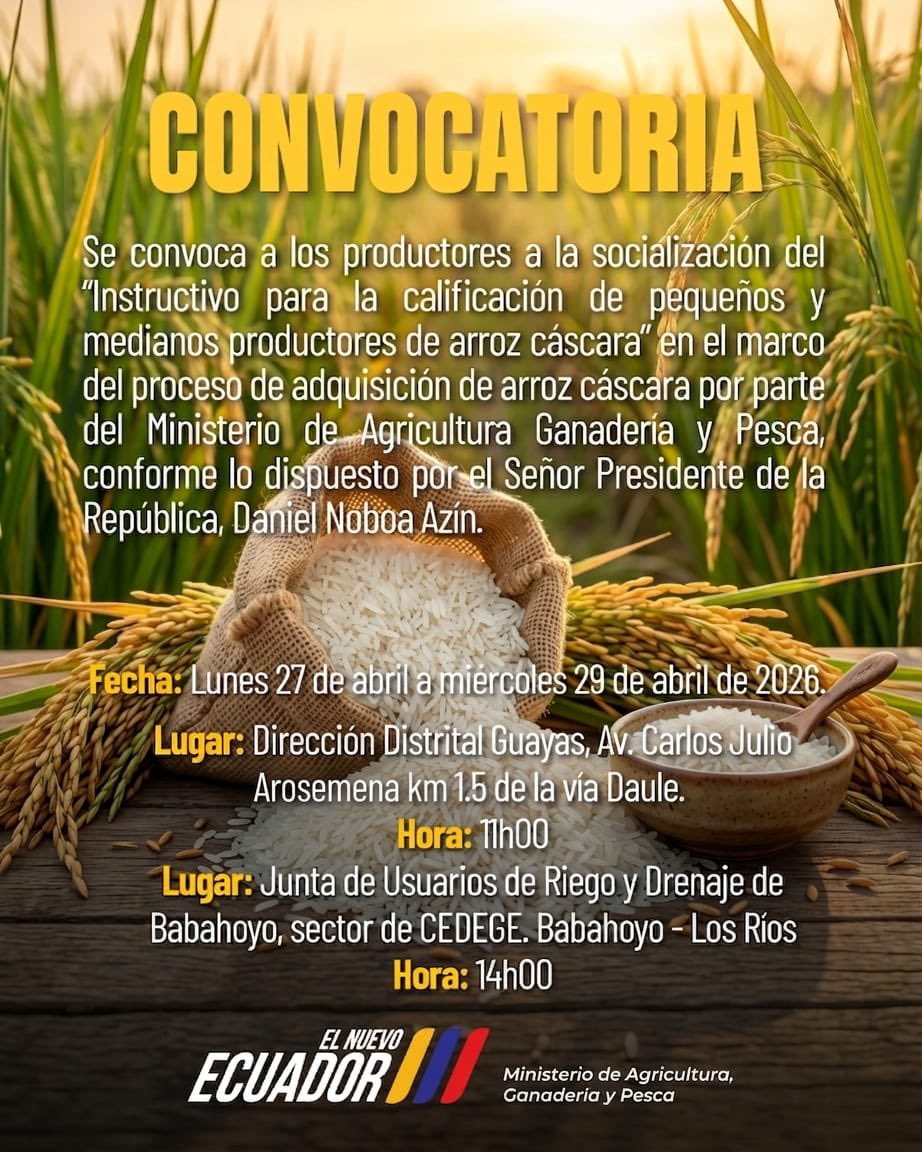 📢 #Convocatoria | El Ministerio de Agricultura, Ganadería y Pesca convoca a productores a la socialización del instructivo para la calificación de pequeños y medianos productores de arroz cáscara.

🔗 Conoce más detalles:  agricultura.gob.ec/magp-tiene-lis…