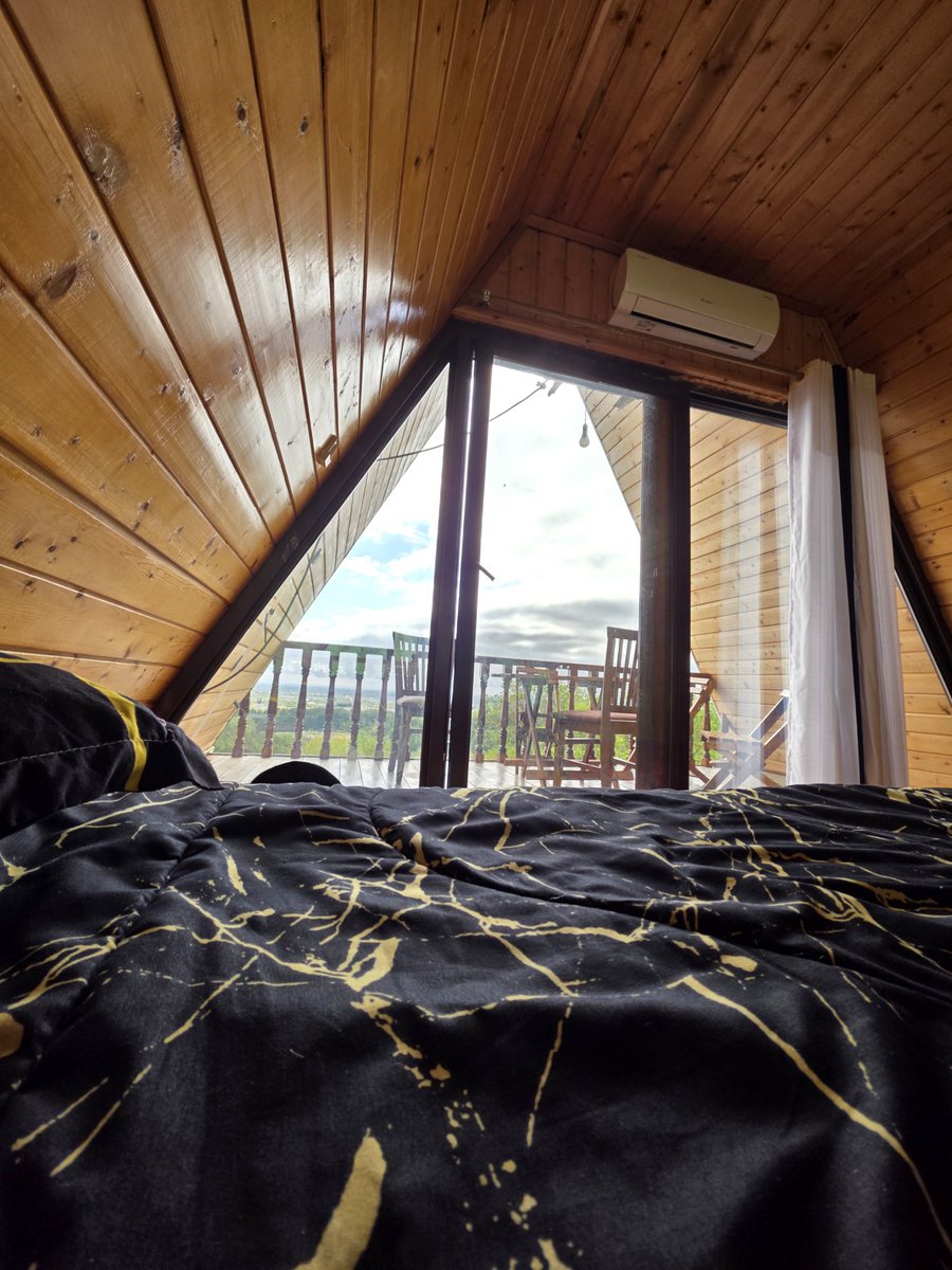 🇮🇷 امید tweet media