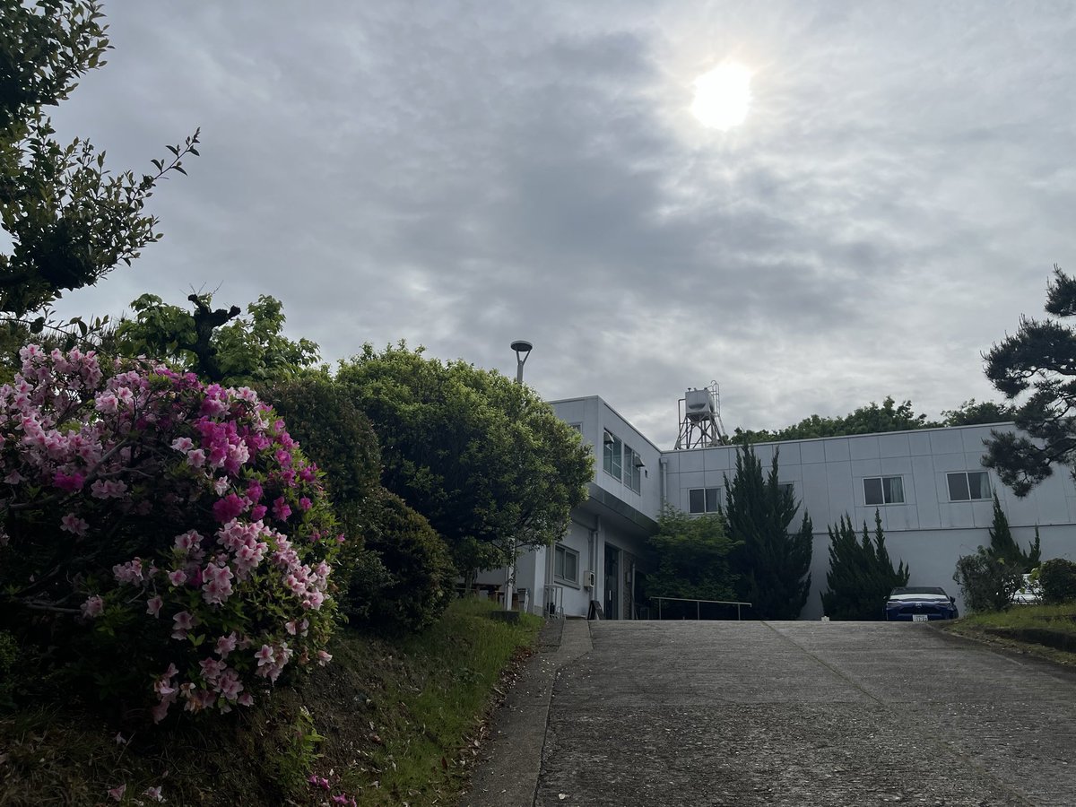 名古屋大学 学生支援本部 tweet media