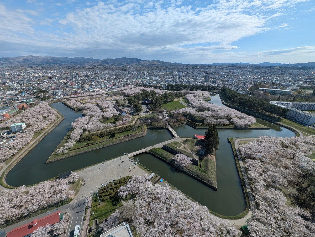 Gentaro Terada tweet media