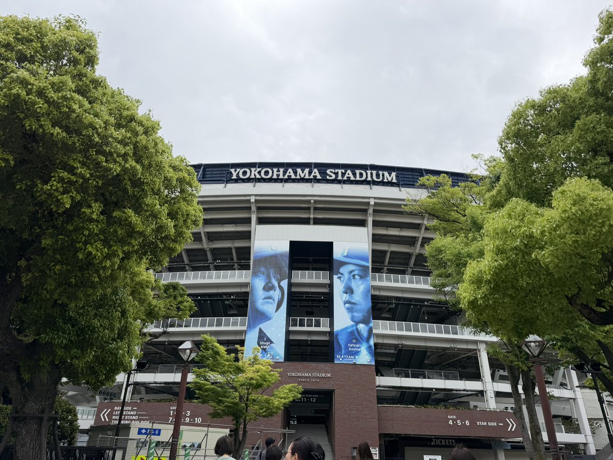 まー 𝑿 🐯 tweet media