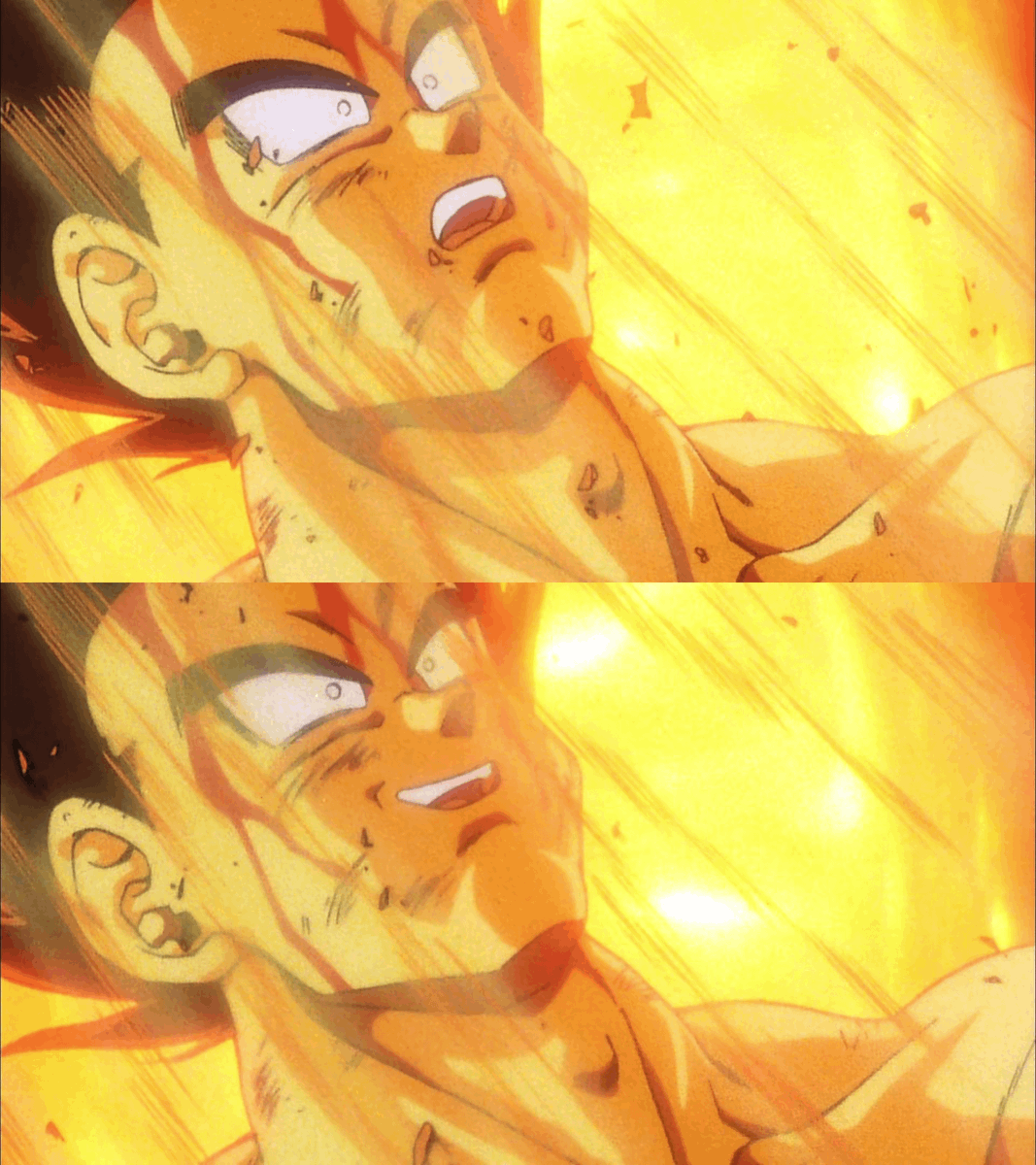 Salvatore tweet media