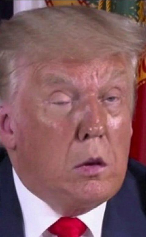 Viral Reel Addict tweet media