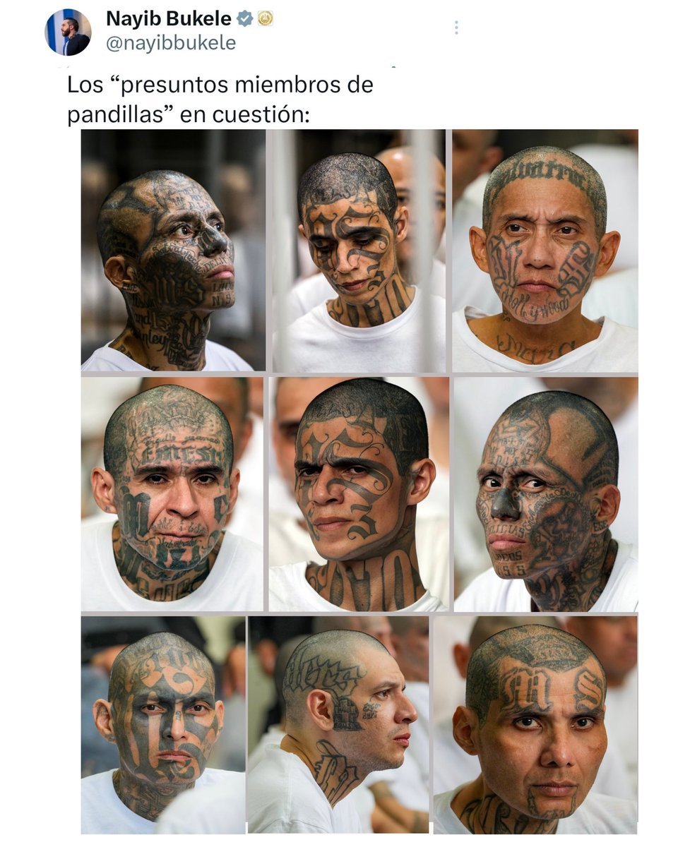 Christian Guevara 🇸🇻 tweet media