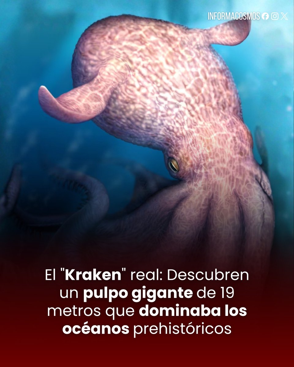 Científicos identificaron un pulpo prehistórico de 19 metros de largo que dominó los océanos hace 100 millones de años.

Este "kraken" gigante superaba en tamaño al famoso mosasaurio y poseía una mandíbula tan potente que era capaz de triturar huesos. El hallazgo demuestra que