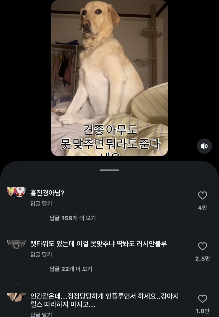 핫토리 준식(폰헌터) (@snimtherock) on Twitter photo 