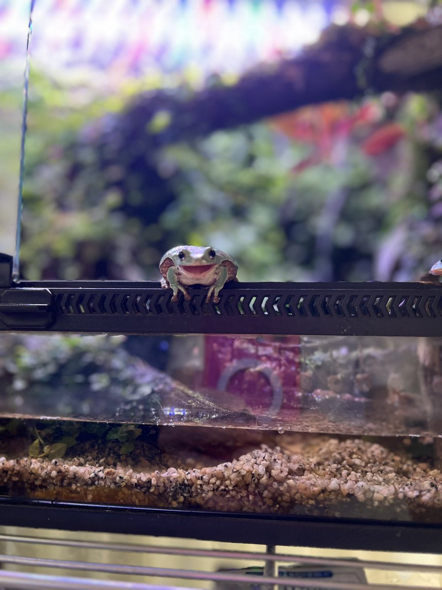 やもちゃん tweet media