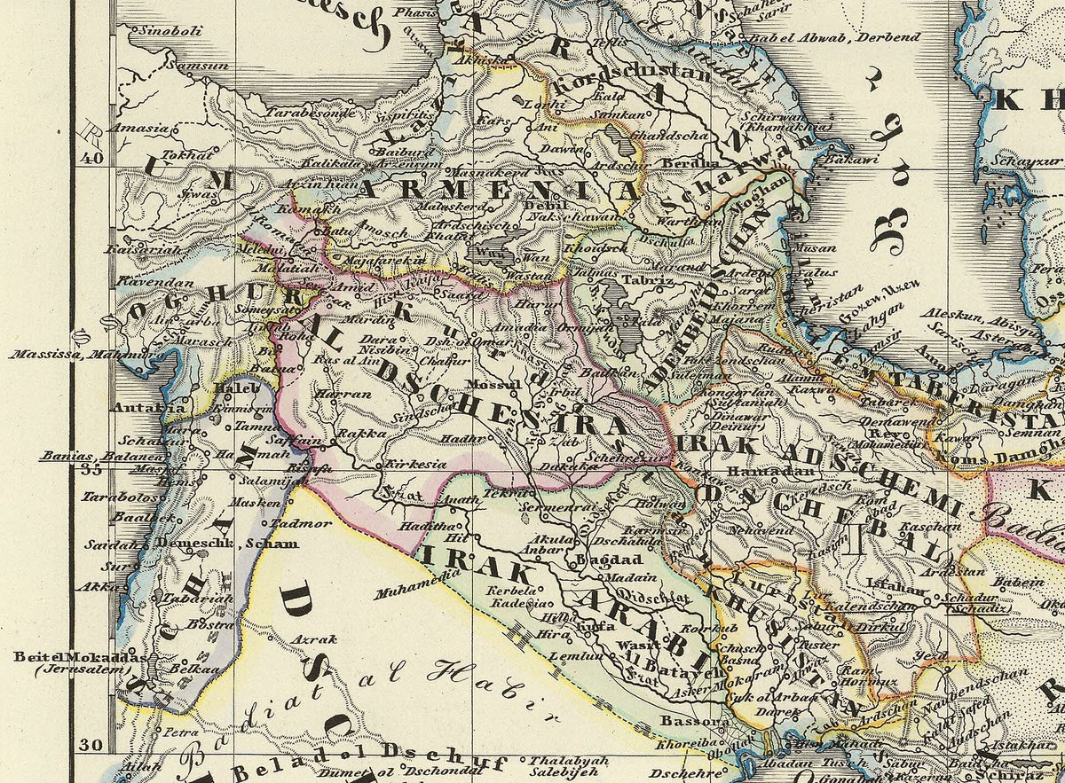 ZGRS ✹ tweet media