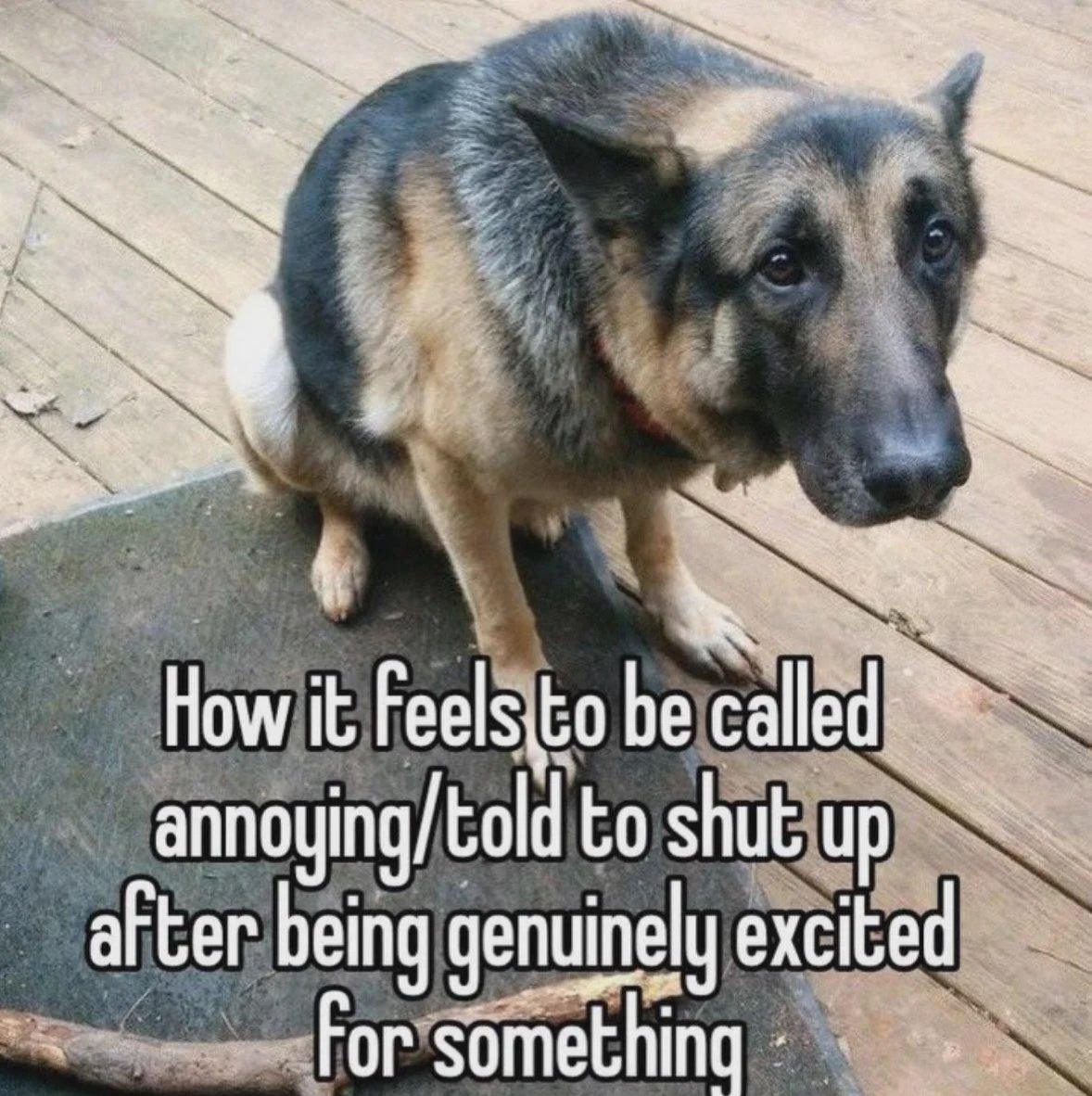 No Nonsense Neurodivergent tweet media