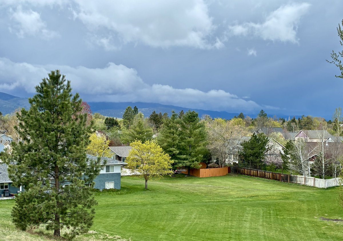sallymauk's tweet image. A Montana spring day:
greening grass, budding trees and thunder snow…
#diversity