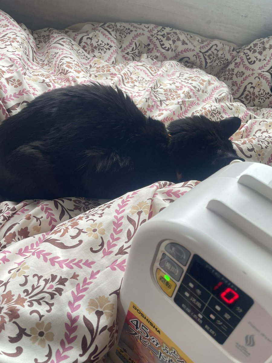 今日は寒い？？？
　なんで布団乾燥機起動中なのわかったん？？？