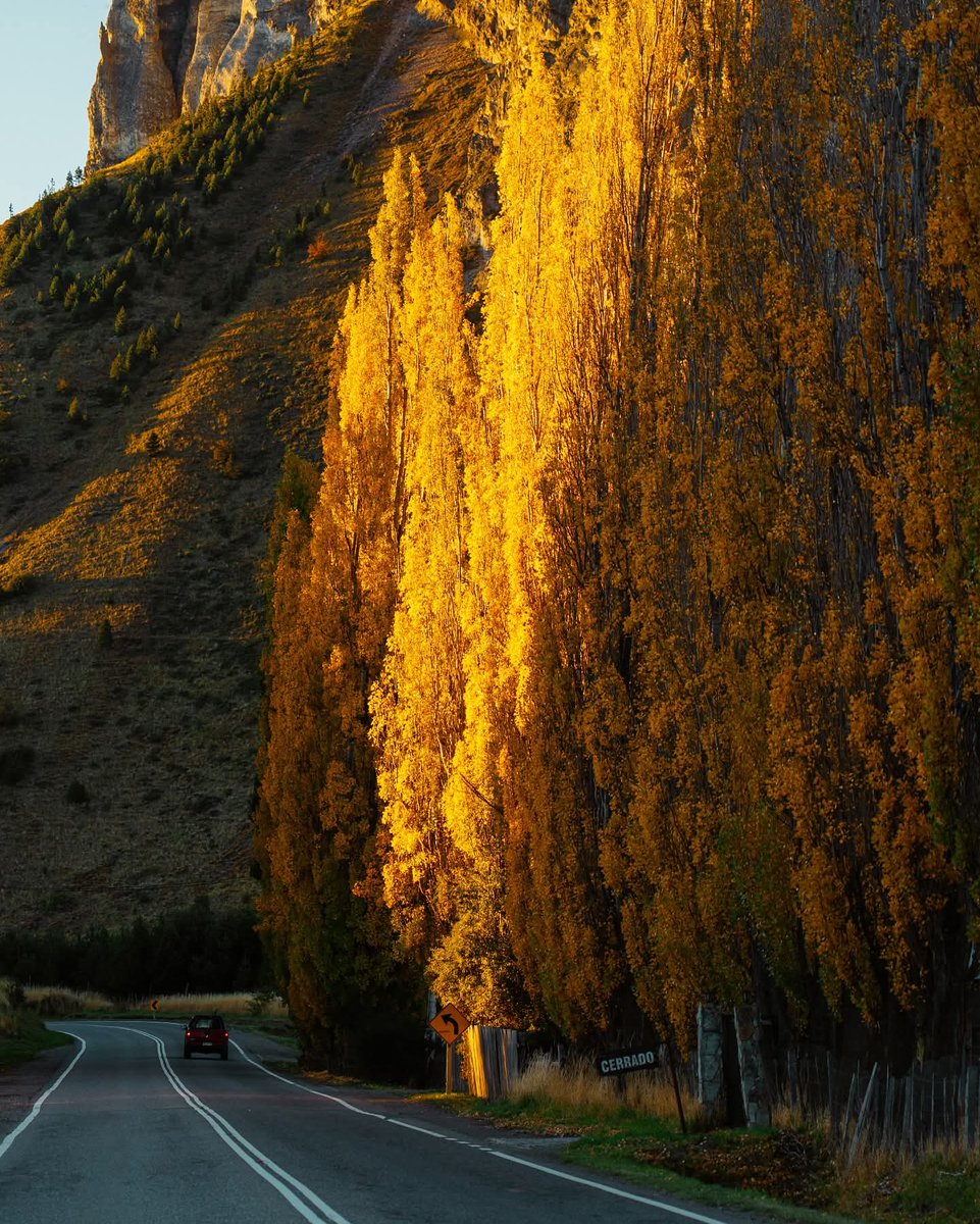 Maravillas del otoño en la Patagonia chilena, región de Aysén... Chile
