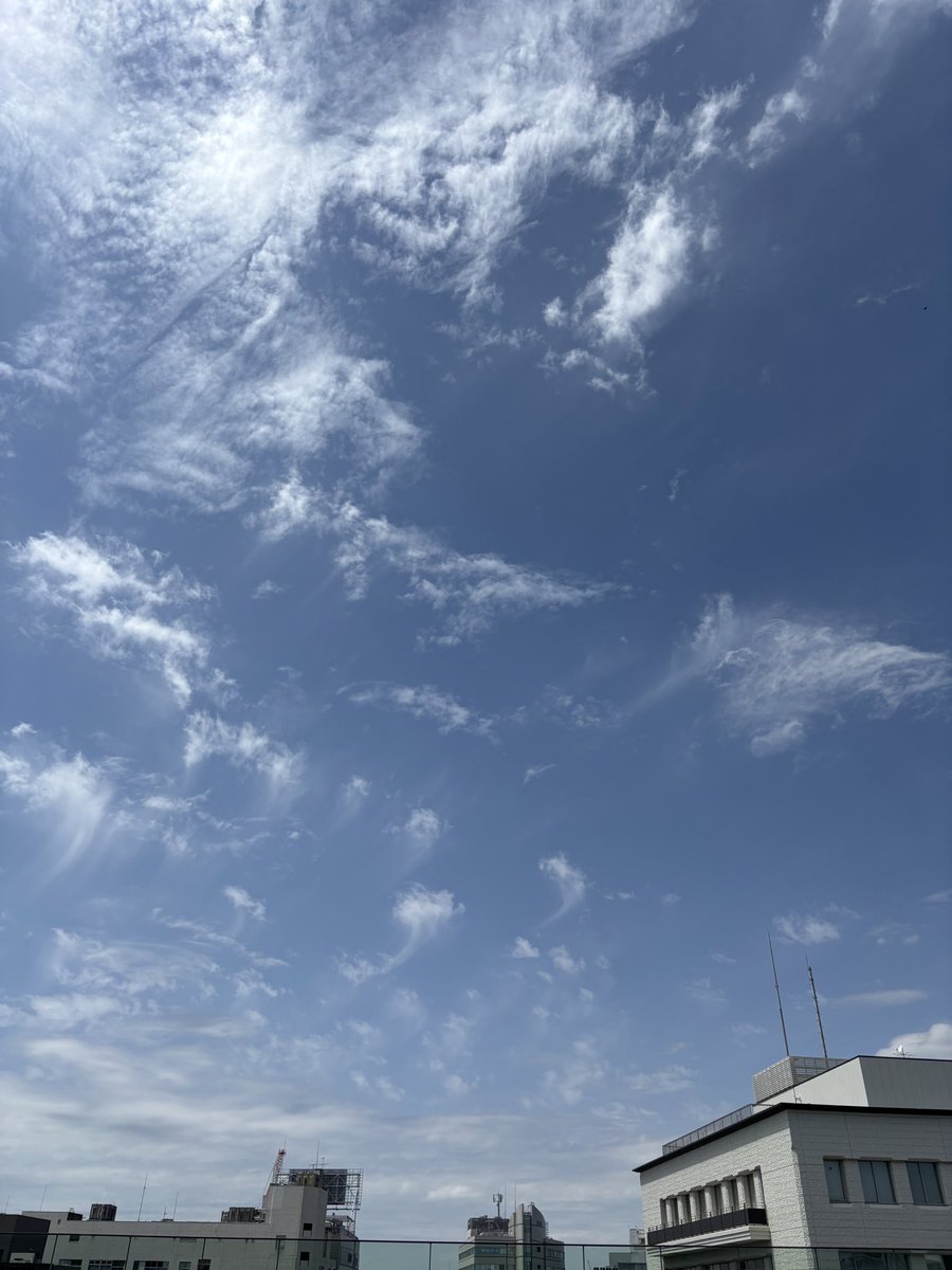 望月 光 tweet media